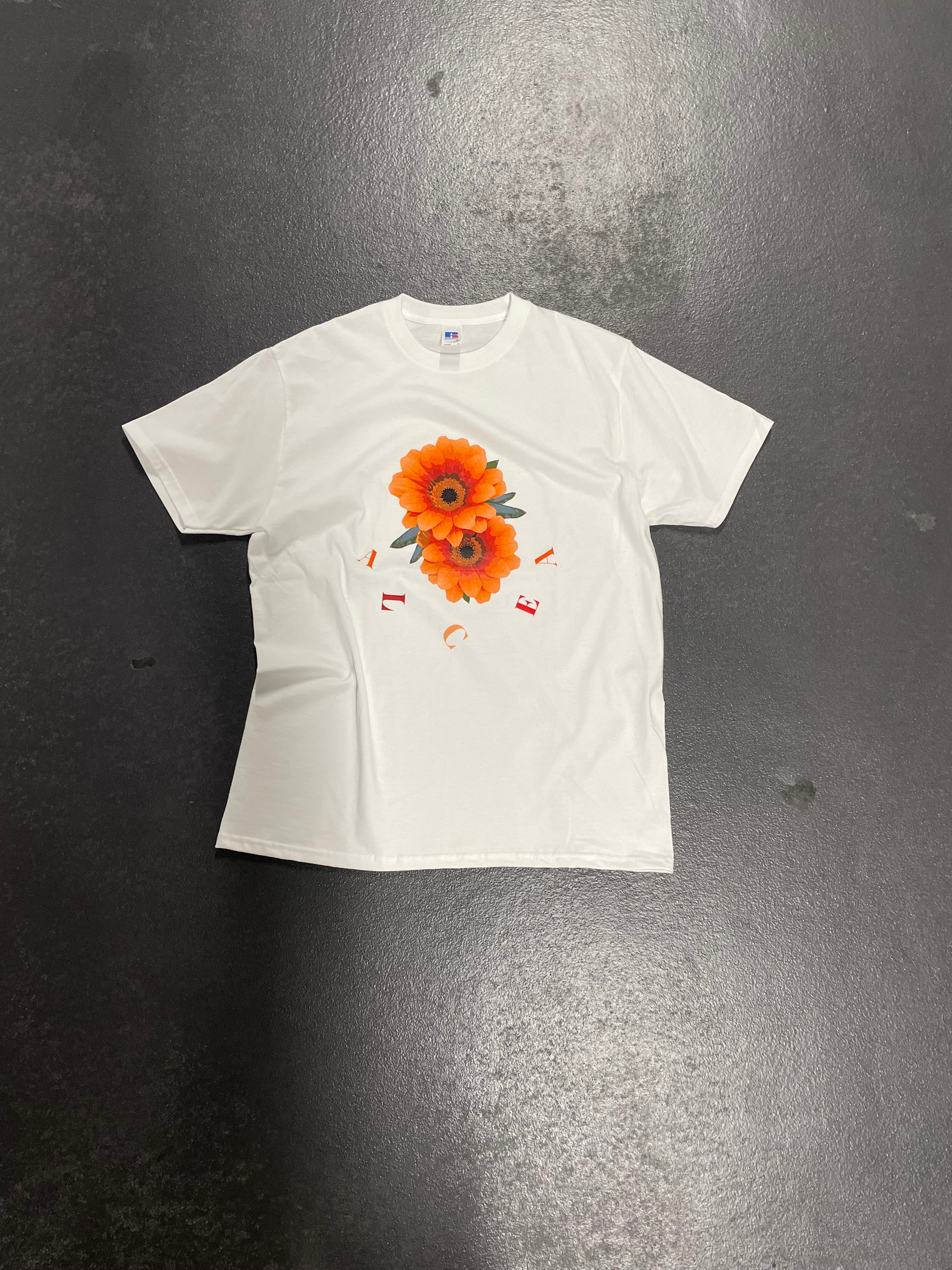 t-shirt Gazania